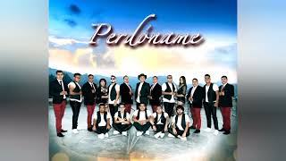 Perdoname----Grupo Los Managers Ft Ali Telez Y Su Grupo Telechicoz 2022 (Limpia)