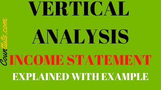 Vertical Analysis of Income Statement | Explained (Excel)