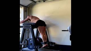 Reverse Hyperextension For A Lower Back Of Steel!  #bodybuilding