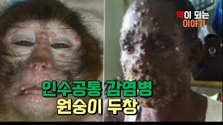 원숭이 두창의 습격, 인수공통 감염병 원숭이 두창 바이러스