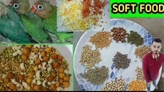 Birds Ki Soft Food  🦜🦜🦜 || Adeel Sweet Birds || 🦜🦜🦜🐓