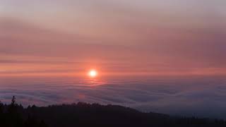 SF Bay Fog Mt. Tamalpais Sunset