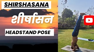 शीर्षासन के फायदे (Sirsasana Health Benefits) Headstand Benefits Free Yoga