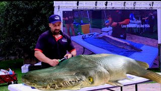 HOW TO CLEAN AN ALLIGATOR GAR SEMINAR