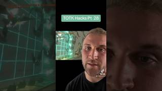 Keese Trap - TOTK Hacks pt 28 #zelda