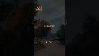 سورة الشرح الآيات من 1 إلى 8 بصوت القارئ سعد الغامدي #حالات  #quran #قرآن  #shorts