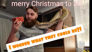 snakes giving me Christmas presents! 🎁