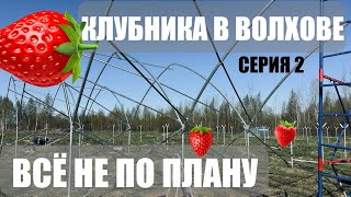 ФЕРМА В ВОЛХОВЕ/ Добро пожаловать в сельское хозяйство