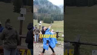 POLANA CHOCHOŁOWSKA #shorts ##zakopane #travel #mountains #travelvlog #vlog #vlogger #youtubeshorts