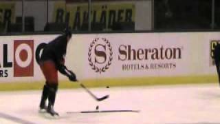 NHL 008_xvid.avi