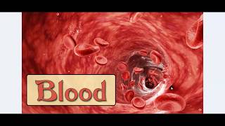 Blood (1) - Hemostasis & Coagulation Cascade