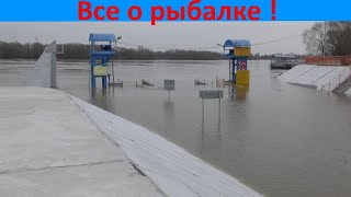 А вода-то в Оке резко поднялась!