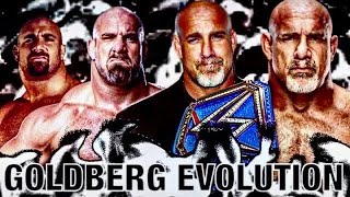 THE EVOLUTION OF GOLDBERG TO 1997-2020