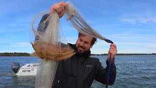 Bagging out on prawns.