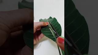 TORAN kaise bnaye# mango leaf toran#Diwali# unique way toran