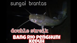 Streik bertubi tubi Si Rio sunan kali brantas