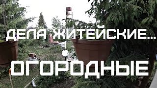 ДЕЛА ЖИТЕЙСКИЕ    ОГОРОДНЫЕ//Делаем грядки, сажаем овощи//