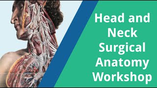 Head and Neck Surgical Anatomy Workshop 2022