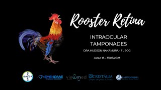 Intraocular Tamponades - Dr hudson nakamura - FUBOG - Rooster Retina aula 18