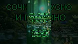 Подробнее смотри в комментарии #oriflame #avon #здоровье #greenway #marykay