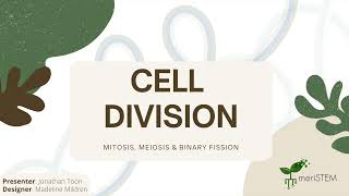 Cell division | DNA, genes and inheritance | meriSTEM