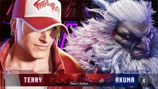 Terry Bogard vs. Akuma