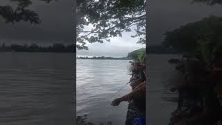 lomba mancing kaltara tanjung selor dan tanjung palas hilir