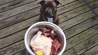 What Feeding RAW FOOD To My Pitbull Looks Like!