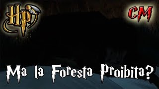 Harry Potter e la Pietra Filosofale (PS2) Parte 13 - Ma la foresta proibita? HD ITA