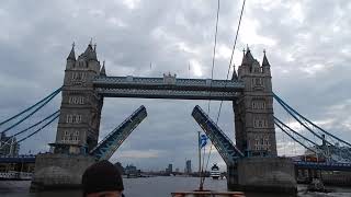 'Waverley' paddle steamer, turning with a tug  and then passing under Tower Bridge on 12/10/24.