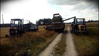 Żniwa i Prace Pożniwne 2017 I 2x Ursus C-360 I John Deere 975 I Claas Protector I