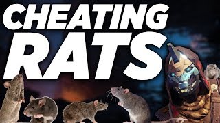 Dirty Disgusting Rats: Destiny 2 Cheaters