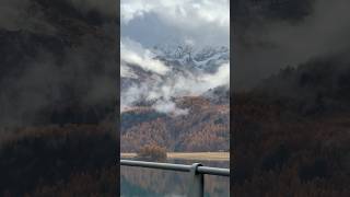 Golden larches and snowy mountains during Autumn in Switzerland 🇨🇭