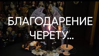 БЛАГОДАРЕНИЕ ЧЕРЕТУ…ДЛЯ ВСЕХ..