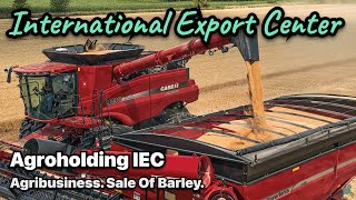 Agribusiness. Growing barley, making a profit from the sale. Agroholding IEC. Agricultural industry.