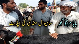 Baba Mehnga Gujjer In Sahiwal Bakra Mandi