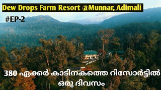 380 ഏക്കർ കാടിനകത്തെ റിസോർട്ടിൽ ഒരു ദിവസം | Dew Drops Farm Resort @Munnar | Adimali | Kalaar