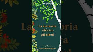 Bosco dei Ricordi_ La memoria vive tra gli alberi