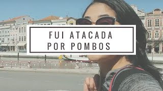 UM DIA EM AVEIRO | Daily Vlog