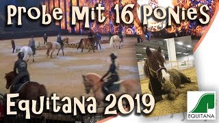 Equitana Teil 1 - Mit 16 Ponies auf die Messe! Erste Proben für die Hop Top Show - Ponyshowteam 2019