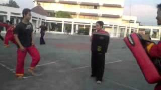 video latihan tapak suci umy 2011