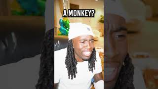 Fan Calls Kai Cenat & Lil Uzi Vert And Calls Him A Monkey…😭💀