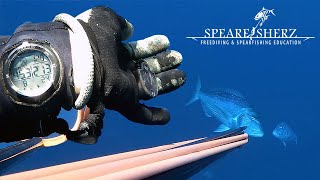 Malta Deep Spearfishing in 45m  -  Enchanted greediness - Spearfishing Tips & Lessons | SPEARFISHERZ