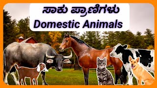 Domestic Animal name in Kannada and English with pictures. ಚಿತ್ರಗಳೊಂದಿಗೆ ಸಾಕು ಪ್ರಾಣಿಗಳ ಹೆಸರು.