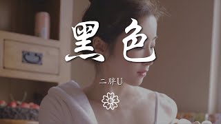 二胖u（王訫） - 黑色『那自命不凡的沉默』【動態歌詞Lyrics】