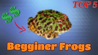 Best Beginner Frogs | TOP 5!