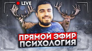 Прямой Эфир | 13.11.2024