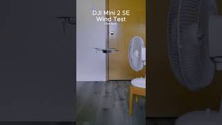 DJI Mini 2 SE Wind Resistance Test