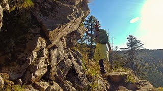 Auf den Feldberg (1493m) und über alpine Pfade nach Todtnauberg