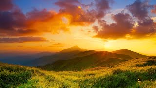 Beautiful relaxing music - 🌿stop overthinking, stress relief music, sleep music 🍀